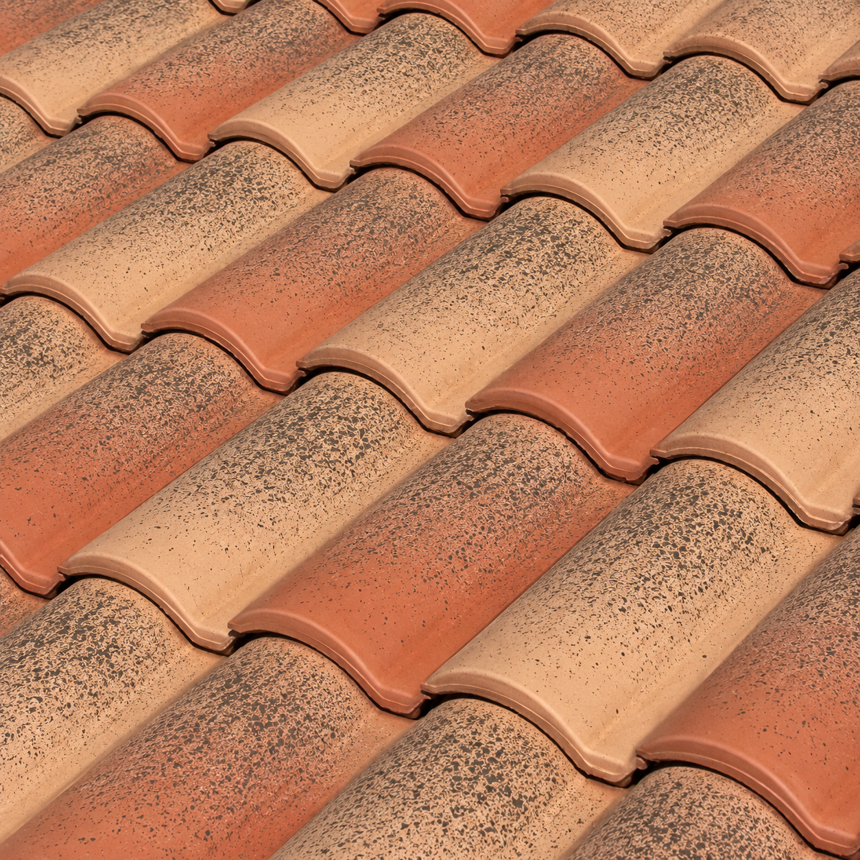Selectum hispania panel